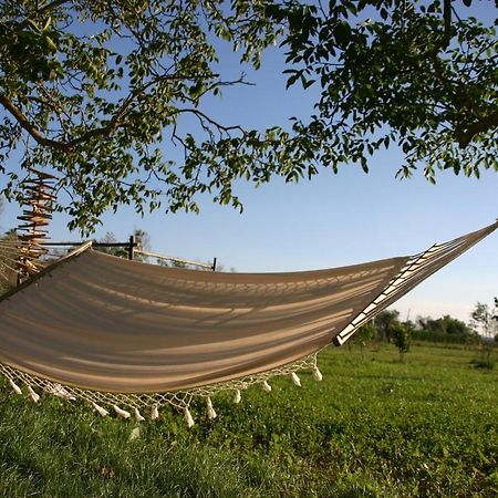 Bed and Breakfast I fichi bianchi Cutrofiano Esterno foto