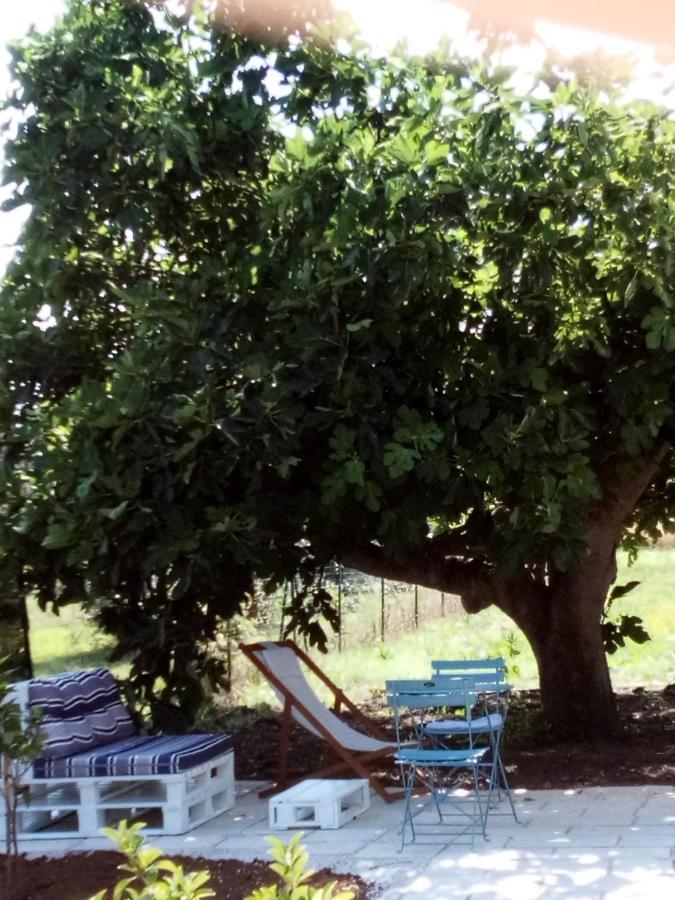 Bed and Breakfast I fichi bianchi Cutrofiano Esterno foto