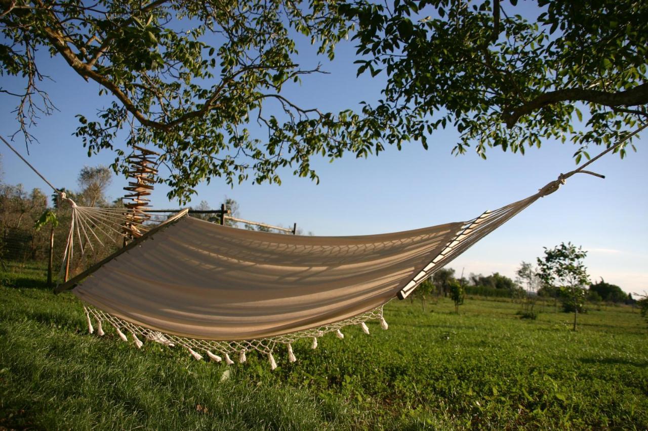 Bed and Breakfast I fichi bianchi Cutrofiano Esterno foto